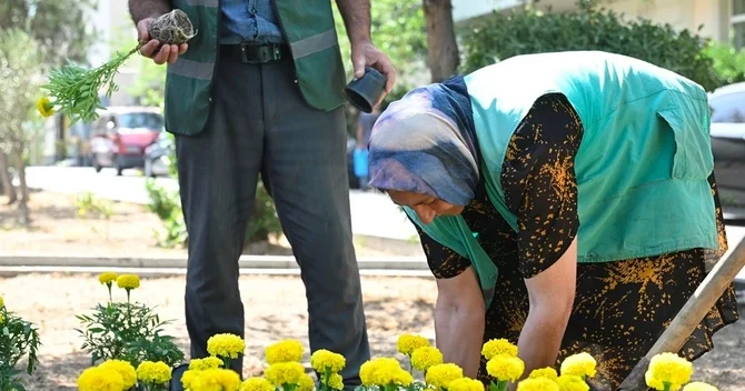 Bu gün Bakıda təmizlik işləri aparılıb