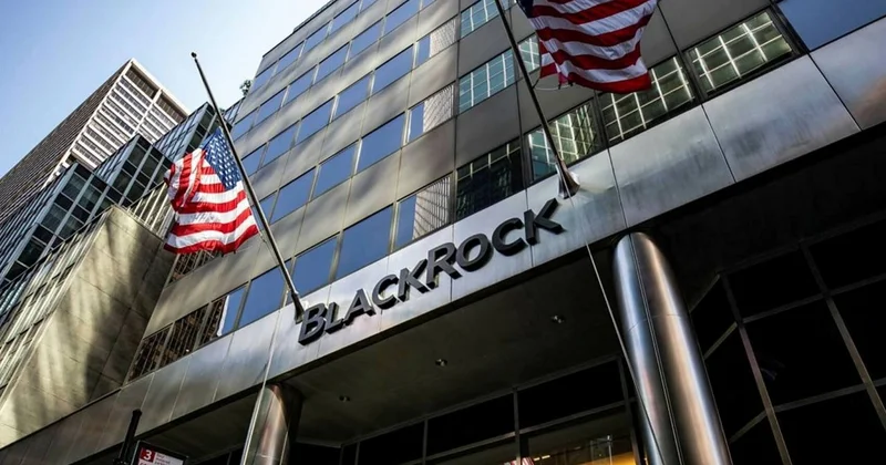 BlackRock un Ukraynanın bərpasını maliyyələşdirməkdən imtinasının səbəbi məlum oldu