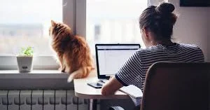 Sevərək işlədiyimiz ev mühiti işimizi necə ləngidir? 7 əsas mənfi cəhət