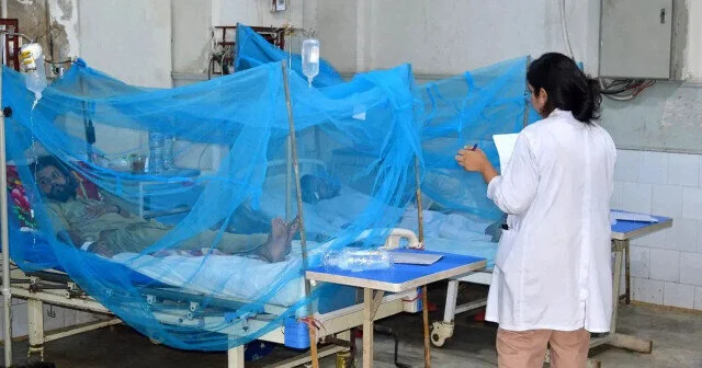 Təhlükəli virus qapıda Artıq Qərbi Azərbaycanda...