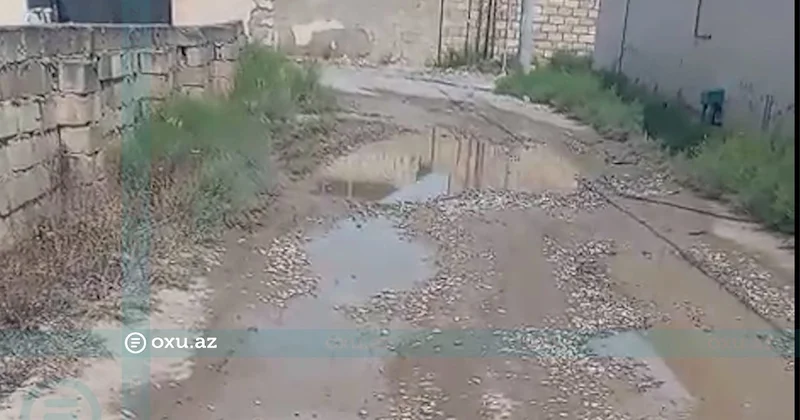Saray qəsəbəsi sakinlərinin yol problemi: Öz hesabımıza asfalt çəkmişik