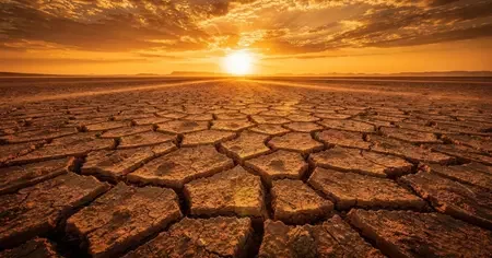 Yerdə temperatur 65°C yə çatacaq: Son bitkilər nə vaxt yox olacaq?