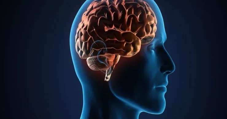 Alimlərdən Alzheimer xəstəliyi ilə bağlı mühüm kəşf