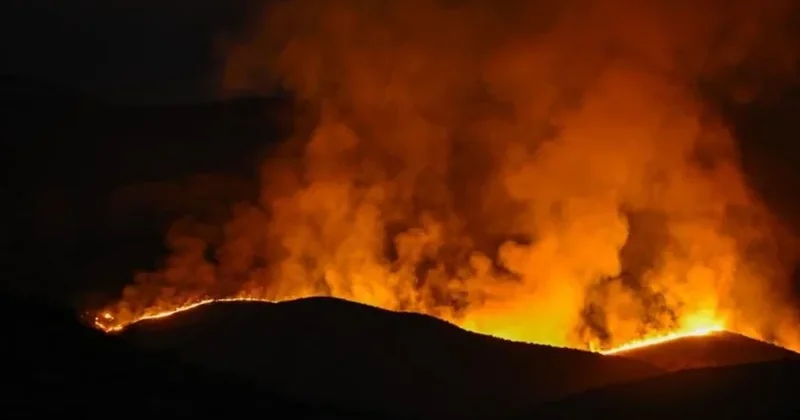 Taylandda baş verən yanğın 27 nəfərin həyatına son qoyub