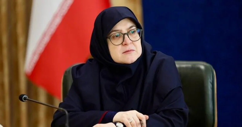İran mediasında Zəngəzur dəhlizi göstərildiyi kimi qəribə deyil Hökumət sözçüsü