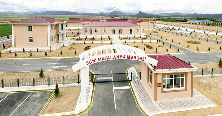 Naxçıvanda 99 milyon manata yaxın heyvandarlıq məhsulu istehsal olunub