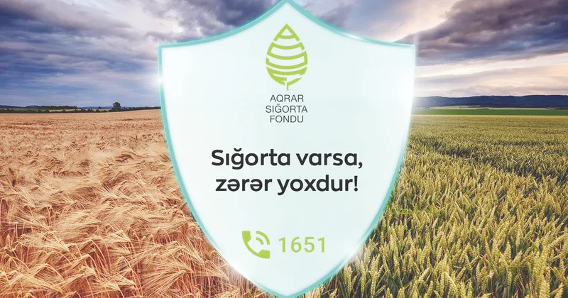 Aqrar sığorta fermerləri ziyandan qoruyur