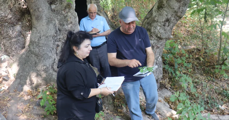 Dendrologiya İnstitutunun əməkdaşları Şərqi Zəngəzur iqtisadi bölgəsində ekspedisiyada olublar