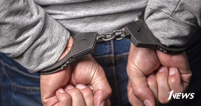 В Армении задержан член правящей партии по обвинению в незаконной миграции и киберпреступлениях