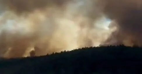 В Чанаккале продолжаются природные пожары ВИДЕО