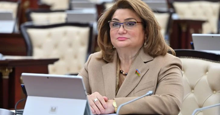 Prezidentin təltif etdiyi komitə sədri: Bundan sonra daha da çox işləməliyik