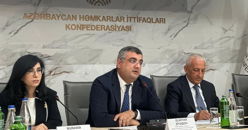 Həmkarlar niyə yollayış verməkdən imtina edir? RƏSMİ CAVAB