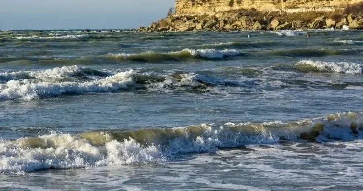 Ölkələrin bir biri ilə əməkdaşlığı Xəzər dənizinin təmizlənməsinə şərait yaradacaq AÇIQLAMA