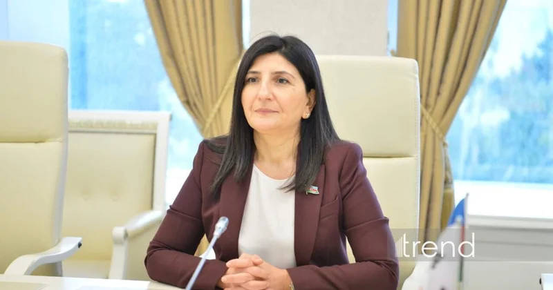 Naxçıvanı regional nəqliyyat və enerji mərkəzinə çevirəcək yeni mərhələ başlayır Sevil Mikayılova