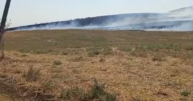 В районах Азербайджана поймали поджигателей ФОТО