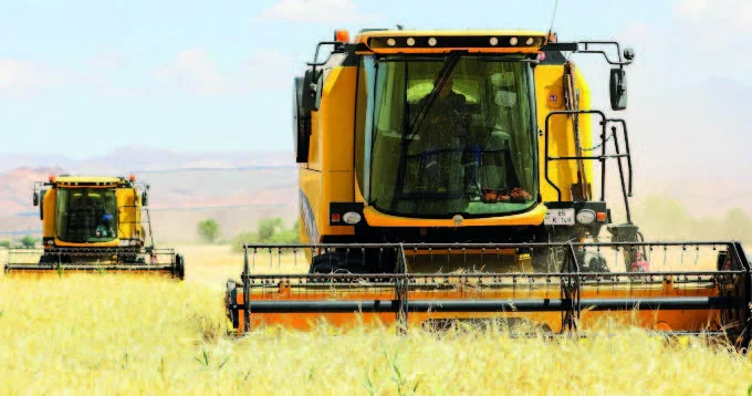 Zəmilərdən 3,1 milyon ton taxıl biçilib