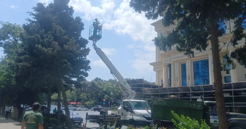 Kökündən çıxan ağac yerinə bərpa edildi Fotolar