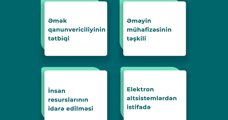 “DOST Müfəttiş” layihəsi işəgötürənlərə necə dəstək göstərir?