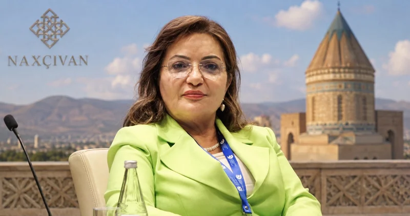 Zəngəzurdan keçən gələcək