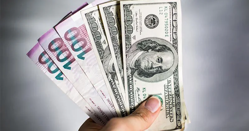 Manatın real məzənnə indeksi dollar qarşısında 2,4% artıb