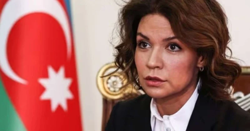Nərminə Mustafayeva səfir təyin edildi