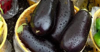 Bu badımcanları duzlamağa ehtiyac yoxdur!