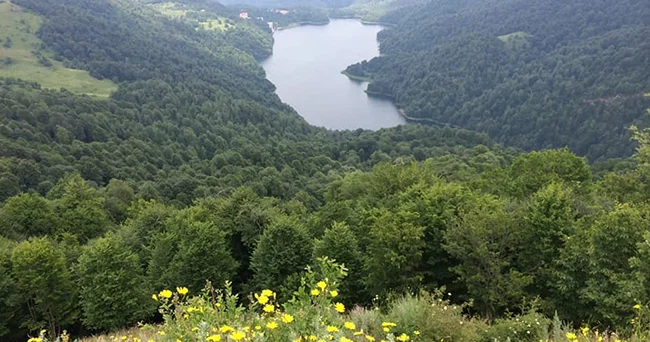 Efiopiya nümunəsi və Azərbaycan üçün dərs...