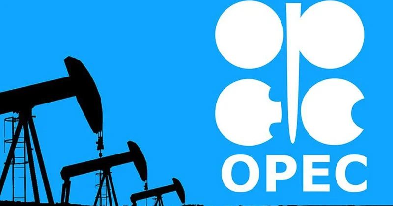 ОПЕК о динамике и прогнозах спроса на нефть на Ближнем Востоке