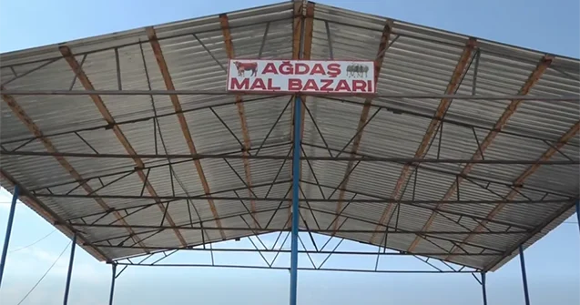 Ağdaşdakı “mal bazarı” yenidən açıldı Video