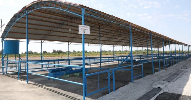 Рынок по продаже скота в Агдашском районе возобновил работу после реорганизации