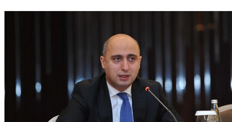 “Əmrullayevin kadr siyasəti təhsil sistemini məhv edir” Ekspert