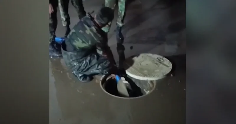 Naxçıvanda intensiv yağışlar nəticəsində subasmalar olub Video