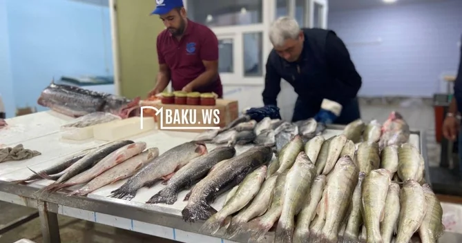 Azərbaycanda balıqçılıqla məşğul olanlar üçün ŞAD XƏBƏR