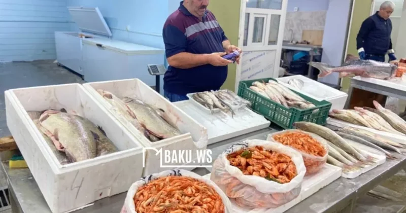 В Баку открылась рыбная ярмарка Подробности / Видео