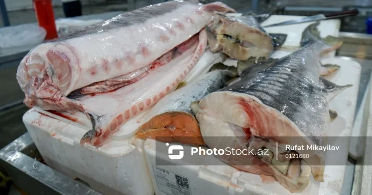 Море вкуса: в Баку открылась грандиозная рыбная ярмарка с ценами ниже рыночных