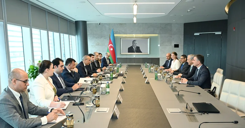 Mikayıl Cabbarov ACWA Power şirkətinin baş icraçı direktoru ilə görüşüb