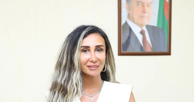 Prezident İlham Əliyevin Vaşinqton səfəri: Azərbaycan alimlərinin mövqeyi