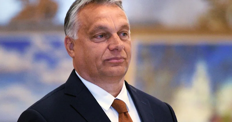 Орбан о дронах РФ: Поляки по уши в войне