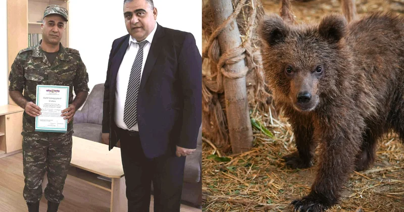 Erməni zabit Qırmızı Kitaba düşən ayı balasını xilas etdiyinə görə mükafatlandırıldı... FOTO