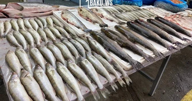 Ləzzəti ilə şöhrət qazanan kütüm niyə bazarlardan yoxa çıxıb? RƏSMİ AÇIQLAMA
