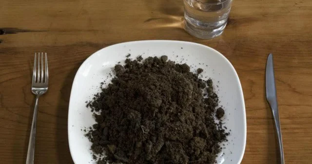 Torpaq, təbaşir, gil yeyənlər özlərini təcili həkimə göstərsinlər Orqanizm hansı siqnalları verir?