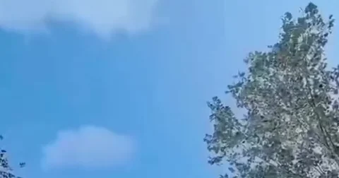 В Южной Америке заметили несколько НЛО ВИДЕО