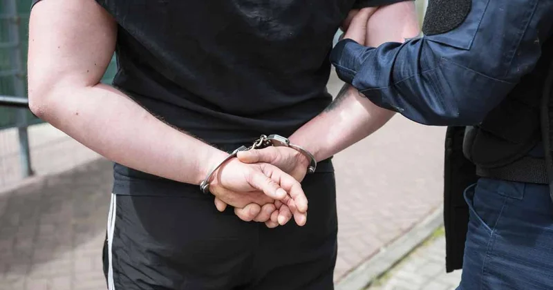 В Грузии задержали нелегальных мигрантов из 13 стран, включая граждан Азербайджана