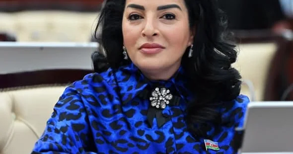 Qarabağ həqiqətlərinin dünyaya çatdırılması hər zaman Azərbaycanın xarici siyasətinin əsas istiqamətlərindən biri olub