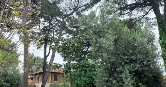 Romada unudulmuş dünya: Zamanın dayanıb nəfəs aldığı məhəllədən REPORTAJ