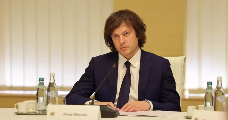 Кобахидзе послу Евросоюза: После драки руки не пожимают