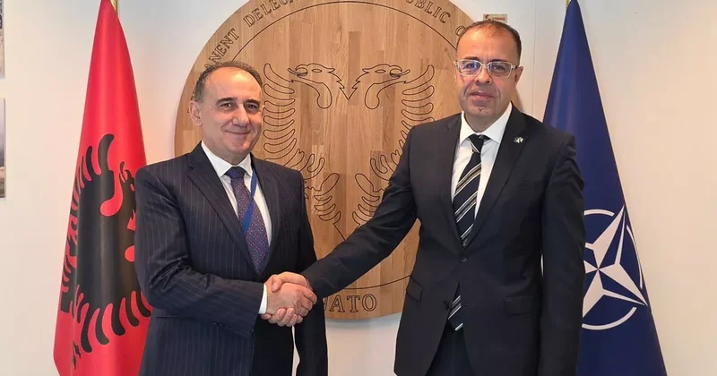 Баку и Тирана обсудили сотрудничество в рамках НАТО
