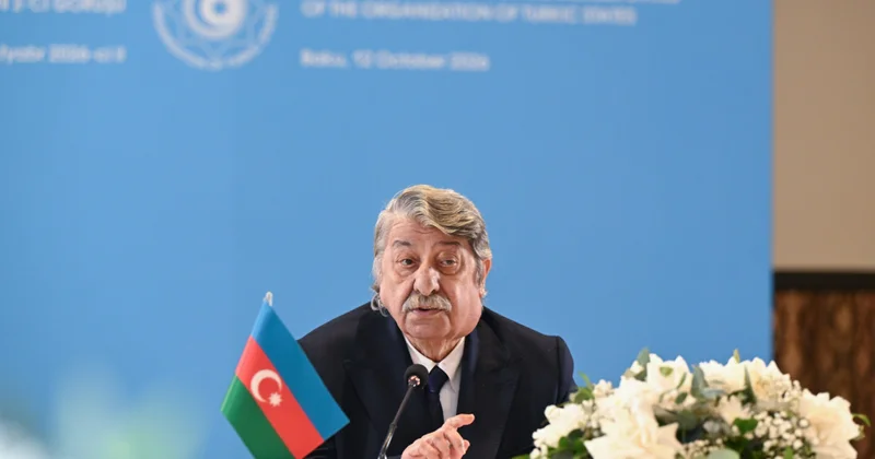 Əqli mülkiyyət sahəsində əməkdaşlıqda iştirak edən dövlətlər üçün hansı üstünlüklər mövcuddur?