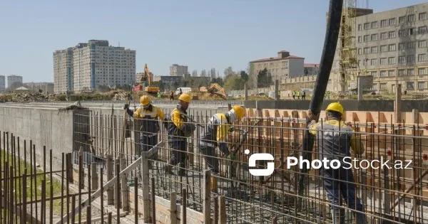 Наемные работники в Азербайджане: какие отрасли лидируют по занятости