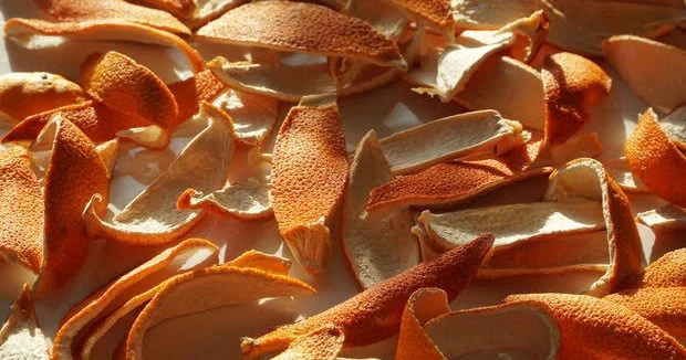 Alkoqolun qaraciyərə təsirindən qoruyan vasitə aşkar edilib